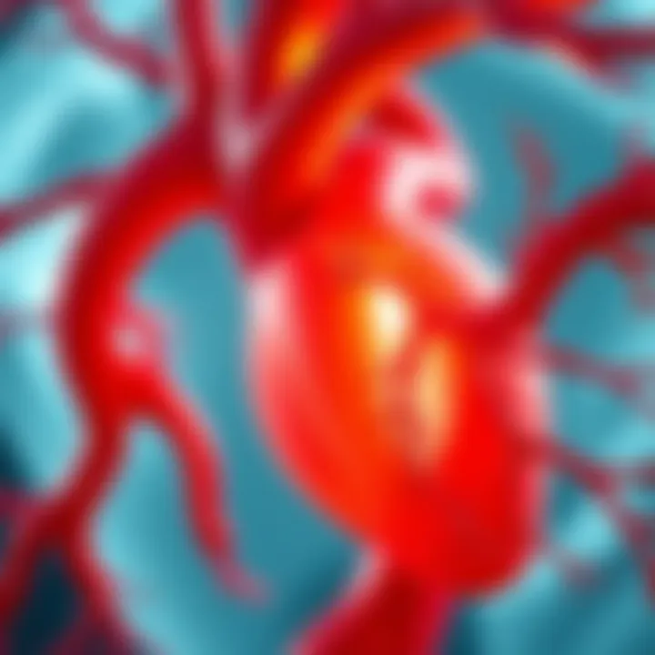 Anatomy of the Coronary Arteries Illustration depicting the coronary artery anatomy