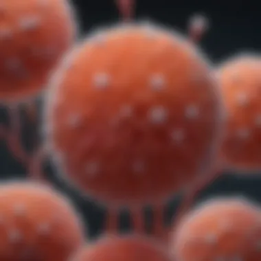 Unique Morphology of Cryptococcus neoformans Microscopic view of Cryptococcus neoformans highlighting its unique morphology