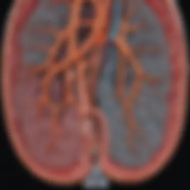 CT Pulmonary Angiography vs. Alternative Imaging Techniques Comparison of CT pulmonary angiography with alternative imaging techniques