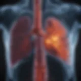 CT scan image displaying pulmonary embolism
