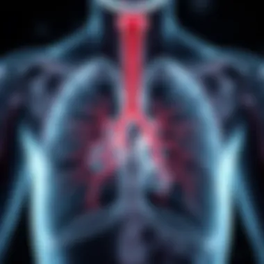 Understanding the Pathophysiology of Emphysema Diagram illustrating the pathophysiology of emphysema