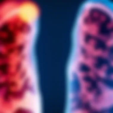 Impact of CT Scan Findings on Treatment Strategies CT scan findings influencing treatment decisions for emphysema