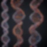A close-up of DNA strands illustrating genetic research advancements
