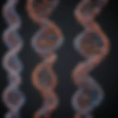 Advancements in Genetic Research A close-up of DNA strands illustrating genetic research advancements