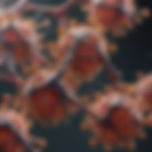 Mechanism of cysteine maleimide bond formation