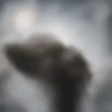 Visualization of jet propulsion principles