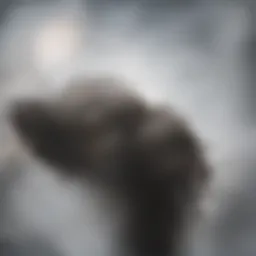 Visualization of jet propulsion principles