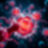 Conceptual illustration of stem cells differentiating into specialized cells