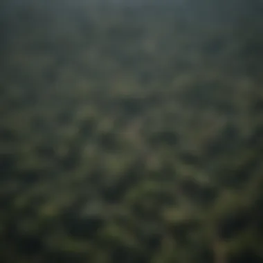 Aerial Perspective of Deforestation in the Amazon Aerial view of the Amazon rainforest showcasing deforestation effects