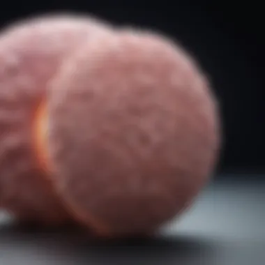Clinical Presentation of Desmoplastic Small Round Cell Tumour Diagram illustrating clinical symptoms and presentation of DSRCT