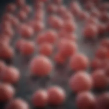 Biomarkers relevant to rectal cancer diagnosis