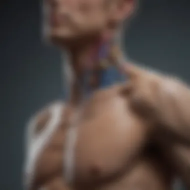 Diagnostic Approaches for Thoracic Spine Tumors Visual representation of diagnostic approaches for thoracic spine tumors