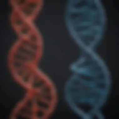 Comparison chart highlighting differences between DNA and RNA