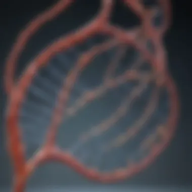 Illustration depicting RNA single-stranded structure