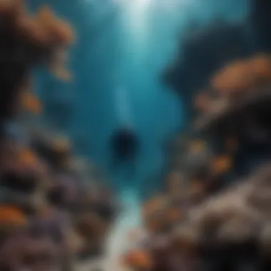 Exploring the Depths of the Great Barrier Reef A diver observing fish in a rich underwater landscape