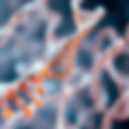 Genetic Code Representation