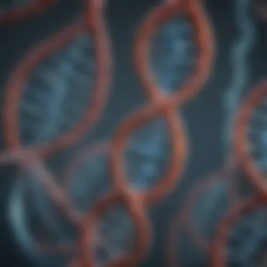 DNA to Protein Conversion Pathways Diagram showcasing DNA to protein conversion pathways