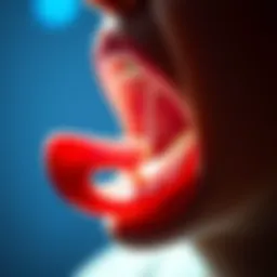 Anatomy of the swallowing process