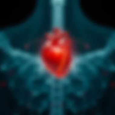 Emotional Balance and Heart Connection Visual representation of emotional balance through breathing