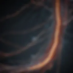 Neural pathways illuminated by electrical impulses