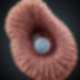Illustration depicting the colorectal cancer screening process