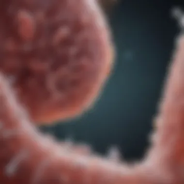 Efficacy of Probiotic Strains in UTI Management Chart showing probiotic strains efficacy