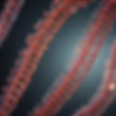 Visual representation of RNA types and their functions.