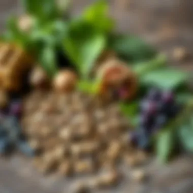 Herbal Remedies for Wellness A collection of herbs known for their medicinal properties
