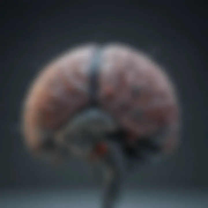 Visual representation of neuroplasticity and brain adaptability