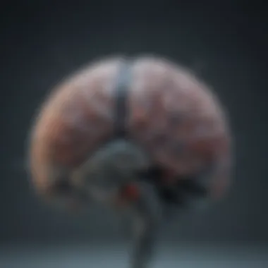 Neuroplasticity and Brain Adaptability Visual representation of neuroplasticity and brain adaptability