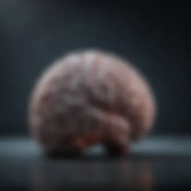 Contemporary research trends in brain function exploration