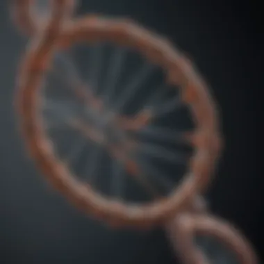 The Foundation of Genetic Engineering: DNA Structure An intricate DNA strand representation