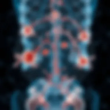 Metabolic Disorders and Uric Acid Regulation An illustration of metabolic pathways affecting uric acid production.