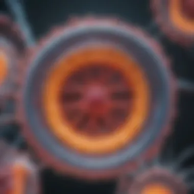 Endoplasmic Reticulum: Synthesis and Transport Detailed view of the endoplasmic reticulum