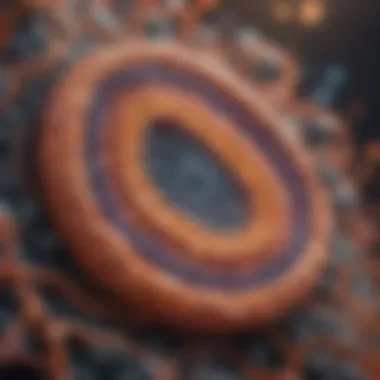 Intricate structure of mitochondria