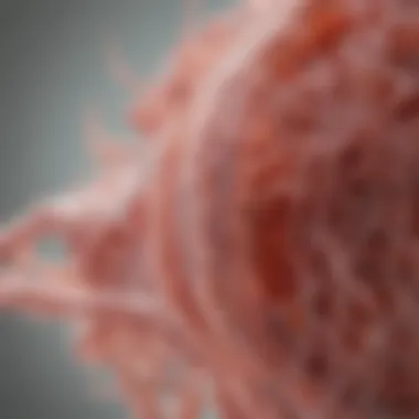 Golgi Apparatus: Modification and Packaging Visual representation of the Golgi apparatus