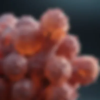 Exploring CIAP1 Antibody: Functions, Applications, and Implications in Research Summary Exploring CIAP1 Antibody: Functions, Applications, and Implications in Research Summary