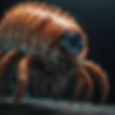 Innovations in Deep-Sea Research Advanced technology used in deep-sea exploration