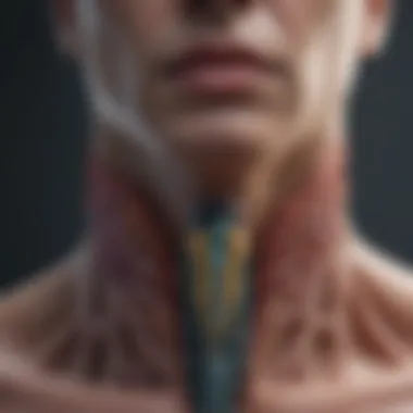 Visualization of thyroid hormone function