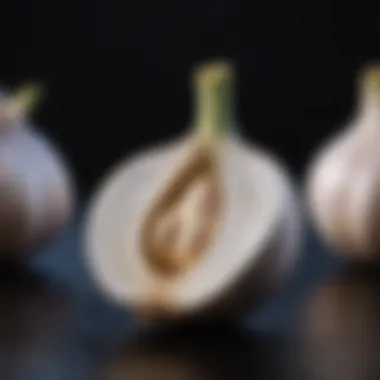 Garlic and Fluid Balance A diagram showing the effects of garlic on fluid balance in the body