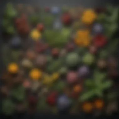 Diverse Herbal Ingredients A vibrant array of herbal ingredients showcasing their natural colors and textures.