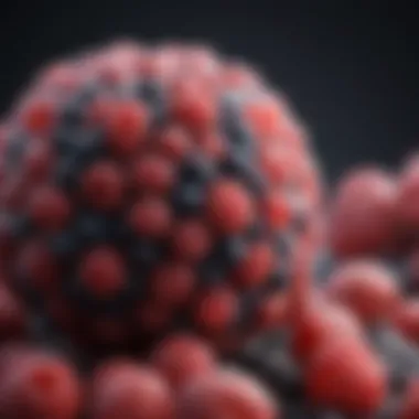 Cellular Mechanisms of Berries An infographic depicting the cellular mechanisms influenced by berry compounds in cancer prevention.