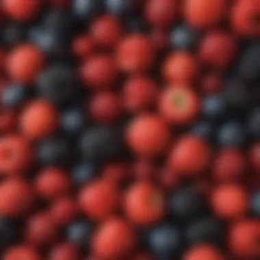 Diverse Berries Collection A vibrant assortment of fresh berries showcasing their diverse colors and textures.