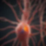 Neural pathways affected by inflammation