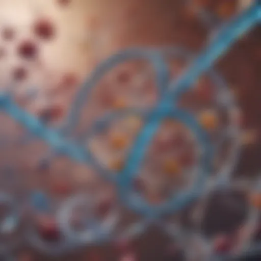 An illustration depicting the biochemical structure of leptin and its role in metabolism