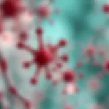 Exploring Orexin Receptor Antagonists: Mechanisms, Applications, and Future Perspectives Introduction