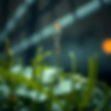 Latest Innovations in Plant Probes Latest innovations in plant probe research