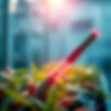 Innovative Plant Probe Technology Overview of plant probe technology