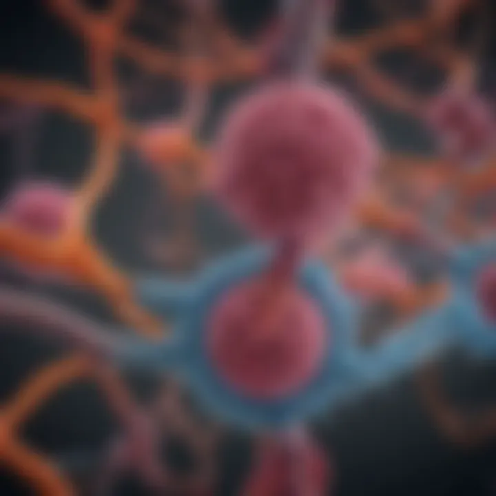 Illustration of the biochemical pathways related to prostate cancer