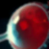 Detailed diagram of retinal anatomy